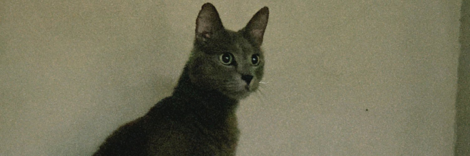 basoffiaaa's profile banner image