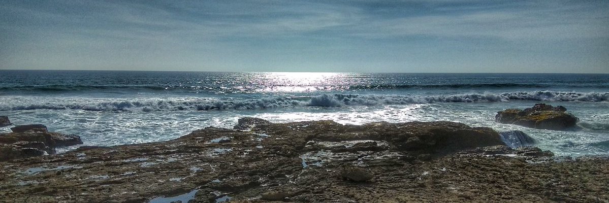 bmayorga's profile banner image