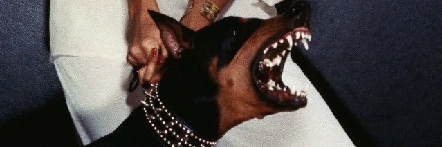 LAUVEN_'s profile banner image