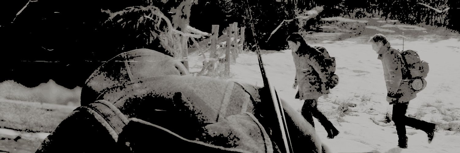 𝘞𝝤𝗟𝗩𝗘𝙍𐌉𝖭𝗘. banner