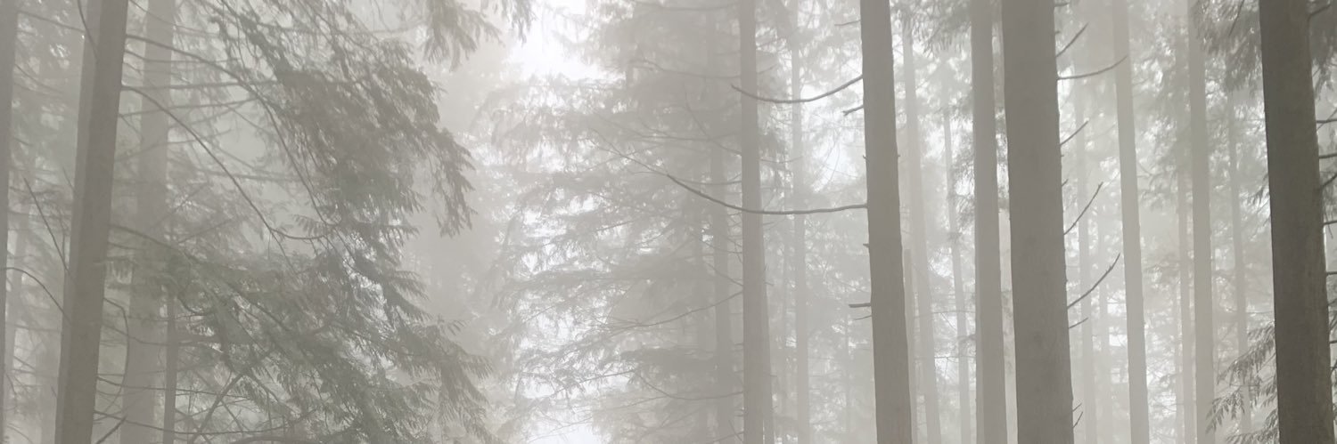 Kerry MacDonald PhD banner