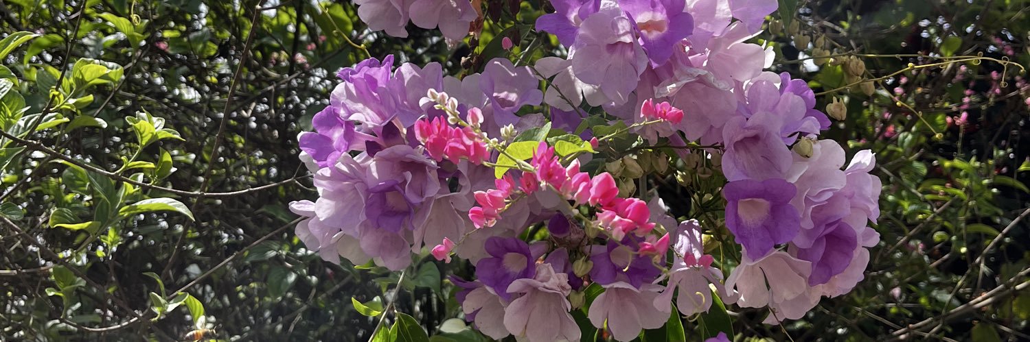 A 🌿 banner