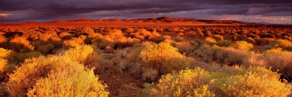 StudentsUnited banner
