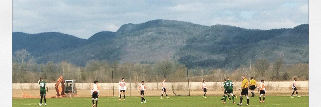 Anthony Cucchi banner