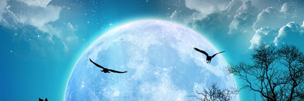 edimalsil's profile banner image