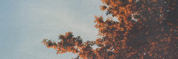 alexingloom Profile Banner