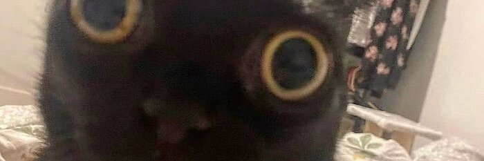 be_goose's profile banner image