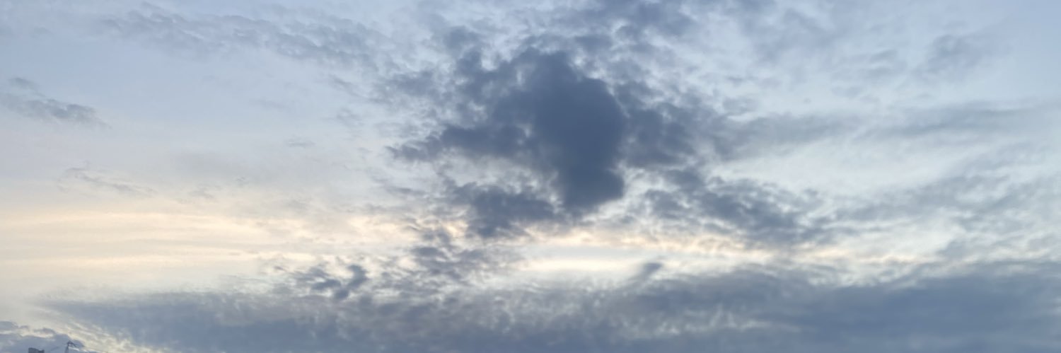 Favour 🌸 banner