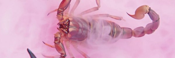 199100candy Profile Banner