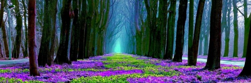 Hazel May Lebrun banner