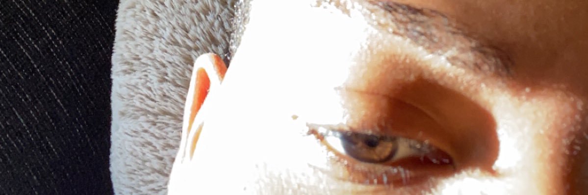 Terridomo's profile banner image