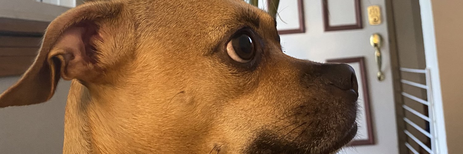 DownesReal's profile banner image