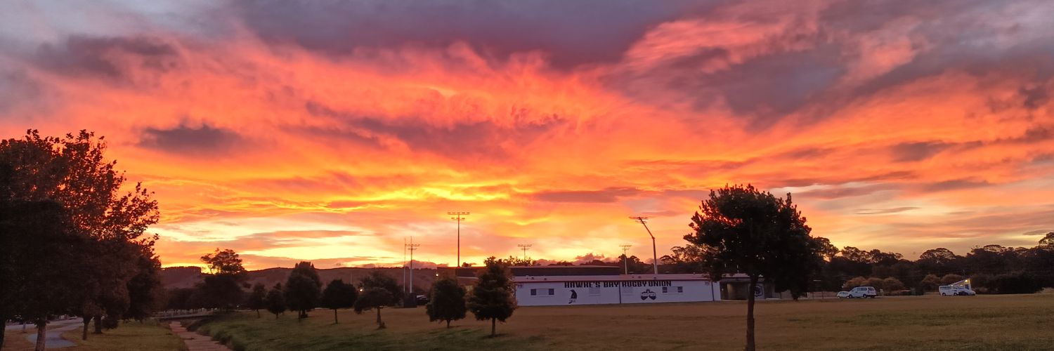 Steph Gunther banner