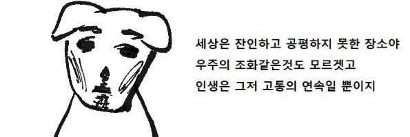 nim__zip's profile banner image