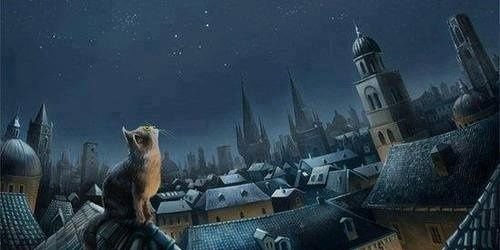 BrayanWeed's profile banner image