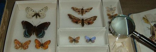 SOUND_AN_VISION Profile Banner