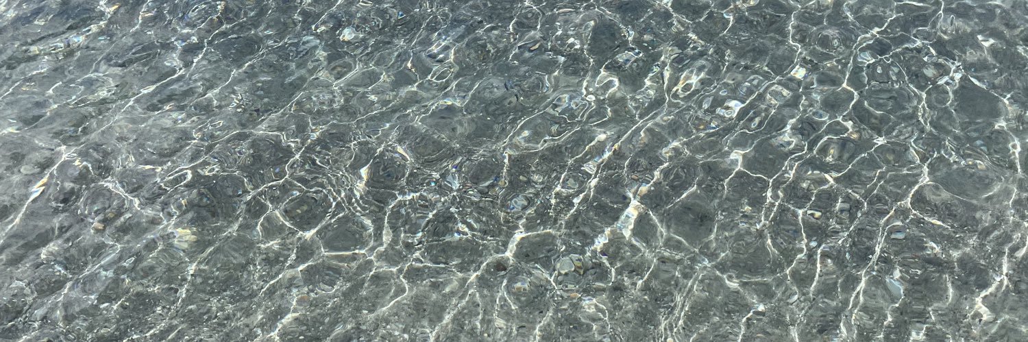 dolphin_127's profile banner image