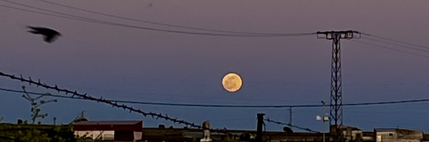Luna Romero 🌙 banner