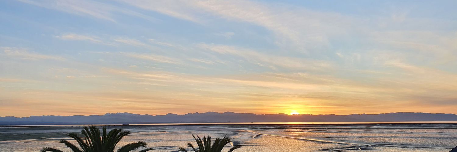 Joanne Clapcott banner