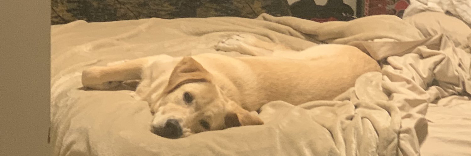 GuinnBryson's profile banner image