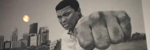 41KINGSOLODOLO's profile banner image