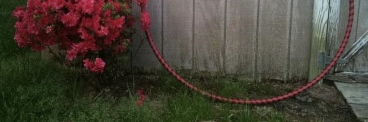 ilana's banner