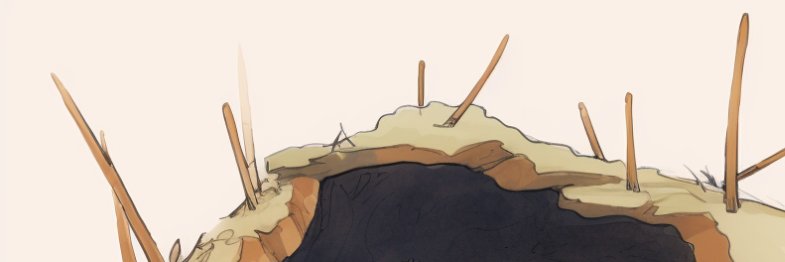 Draco | Web3 Warrior | DeFi Rat banner