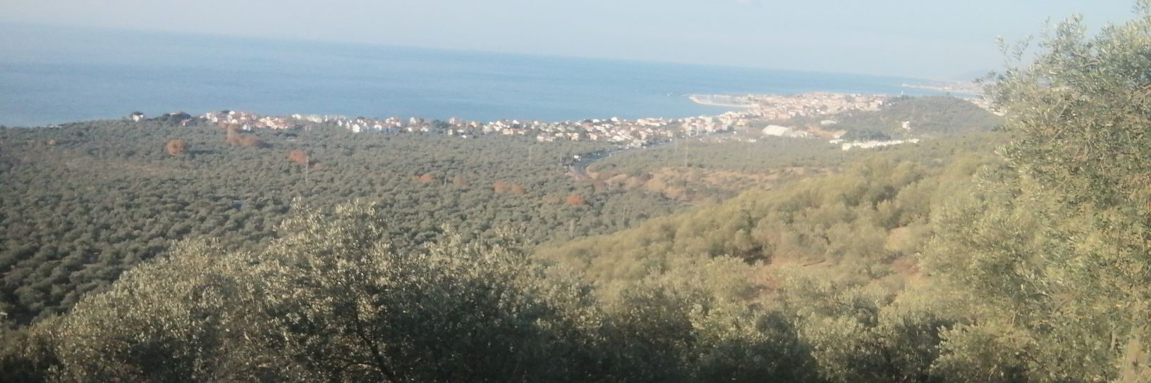 hakanbuse39's profile banner image