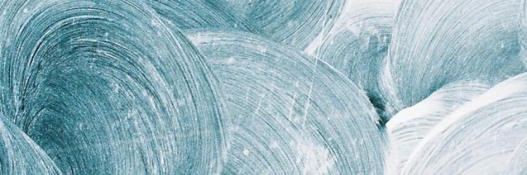 Mia Nguyen banner
