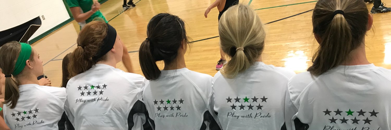 Perry Central Vball banner