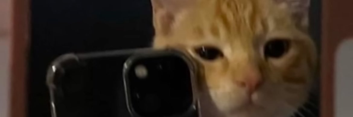 ForgettingKrunt's profile banner image