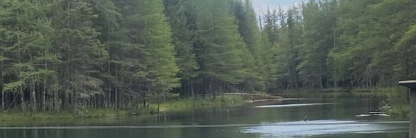 rjcrisman97 Profile Banner