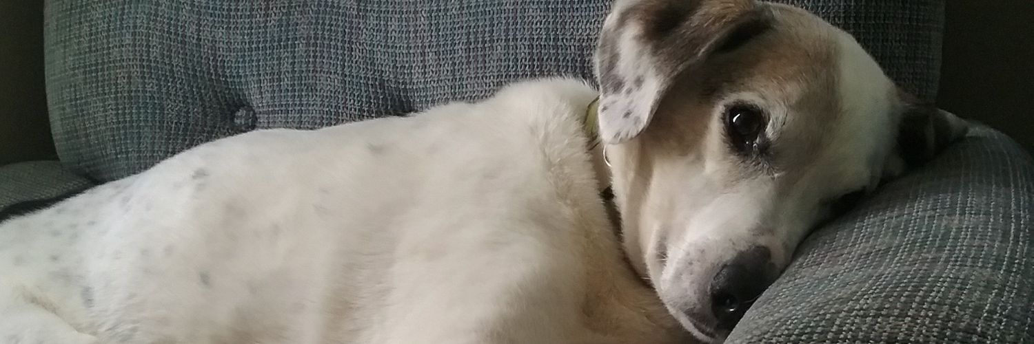 TrueFiter20's profile banner image