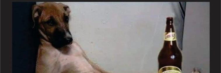 JotaTimBeta's profile banner image