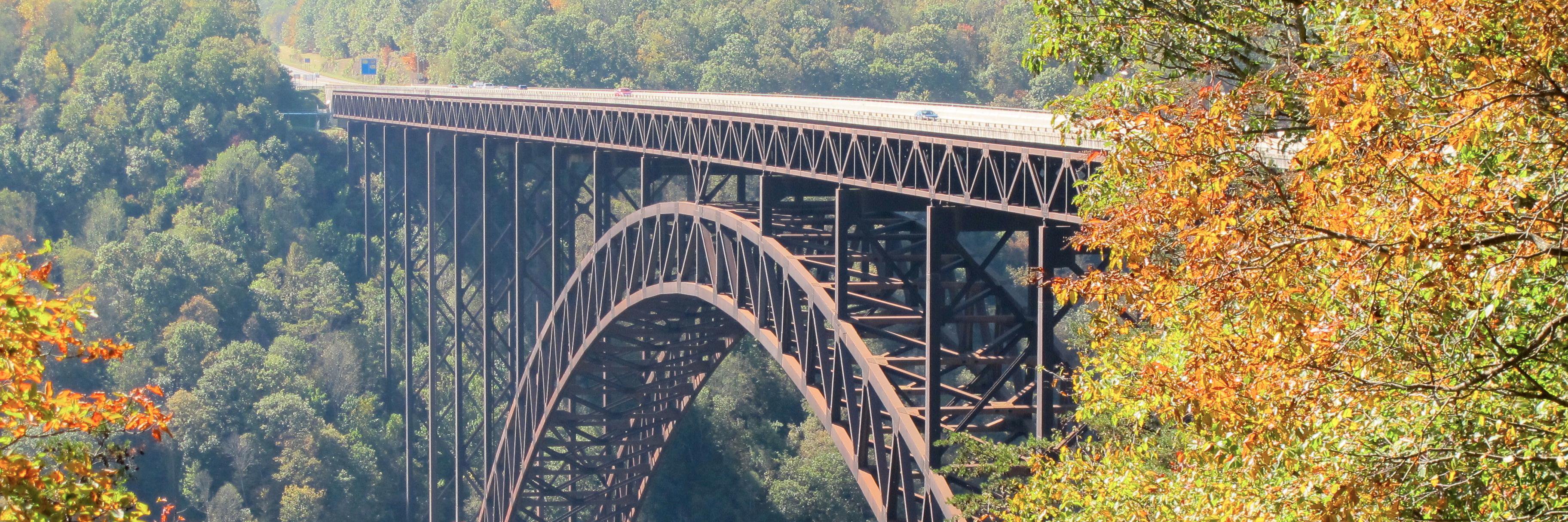 Leslie Przybylek banner