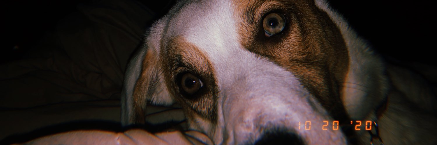 _CYGonzo_'s profile banner image