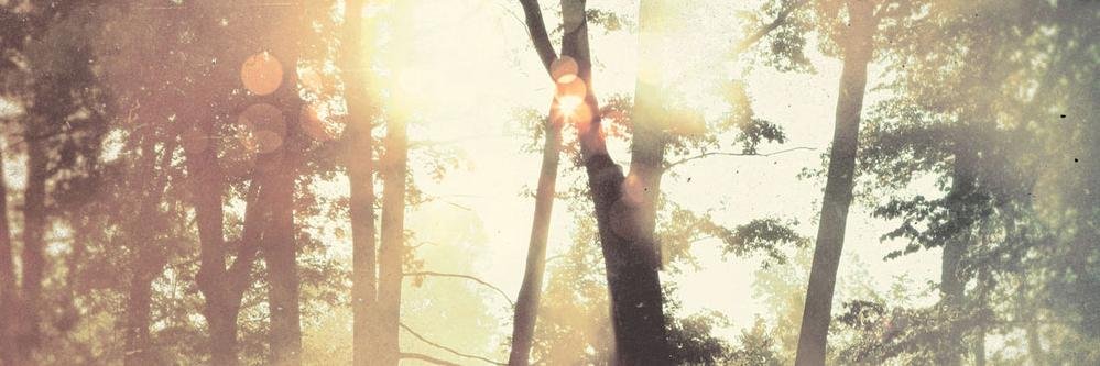 asteadydecline_'s profile banner image
