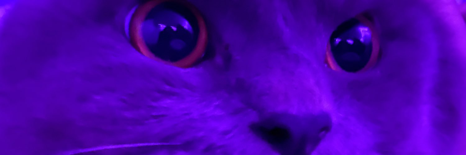 MariahFlawlesss's profile banner image