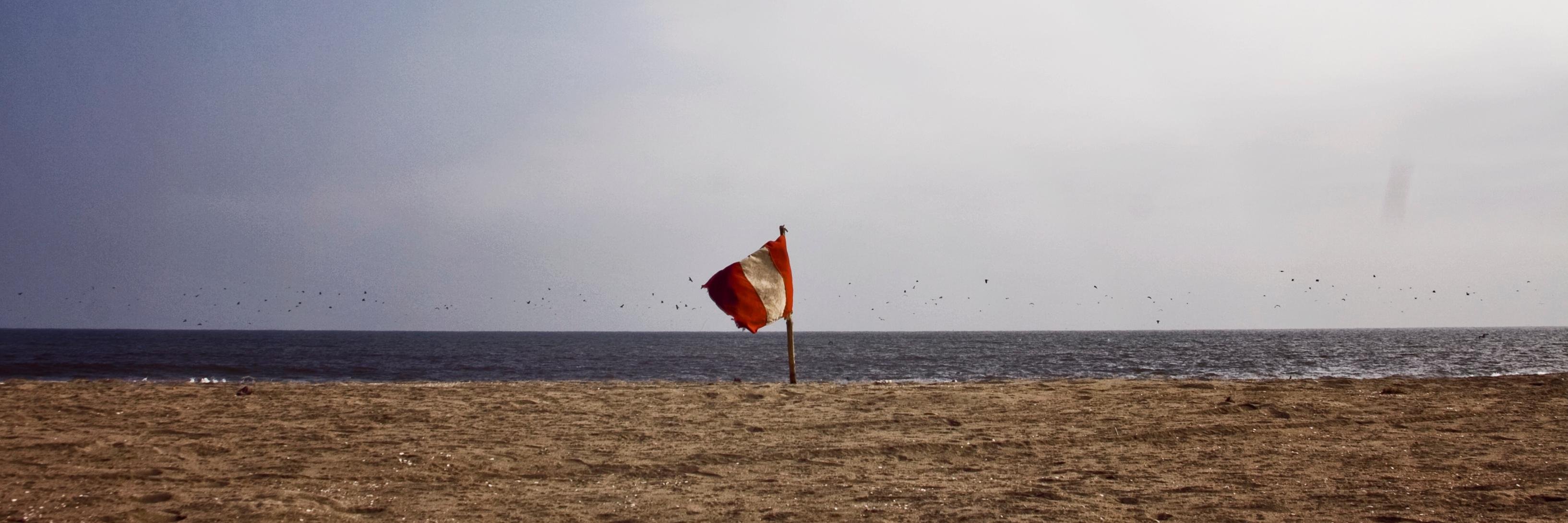 La Procrastinoica de mañana banner