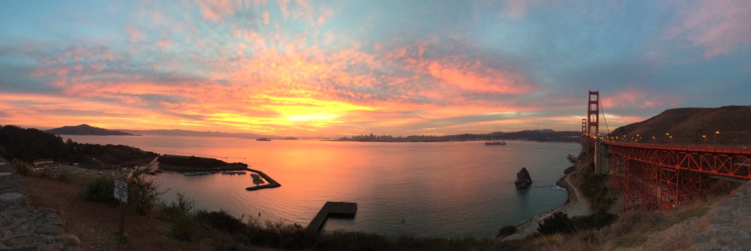 Megan W. Taylor banner