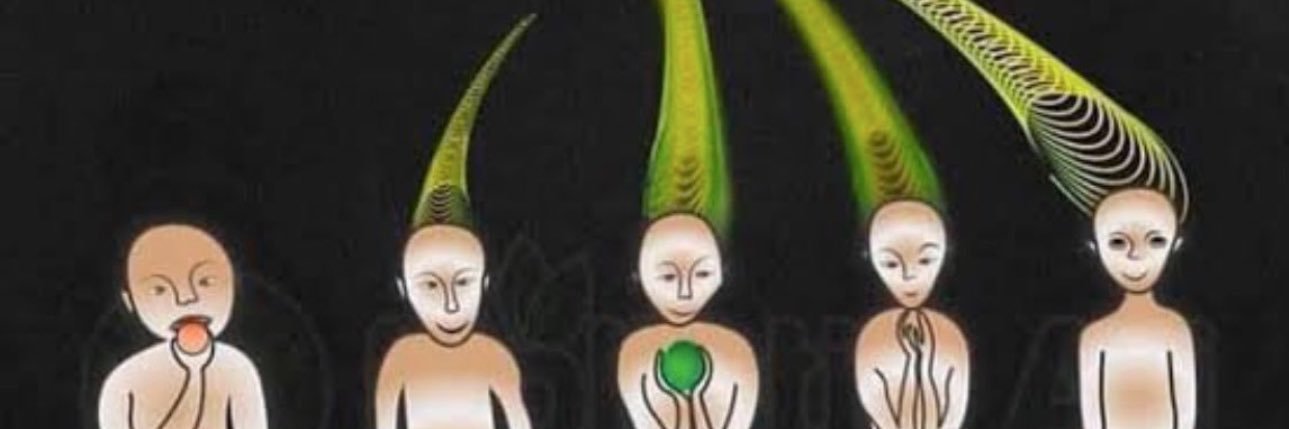 PBMNaturalist's profile banner image