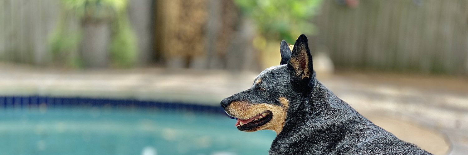 William Eugene banner