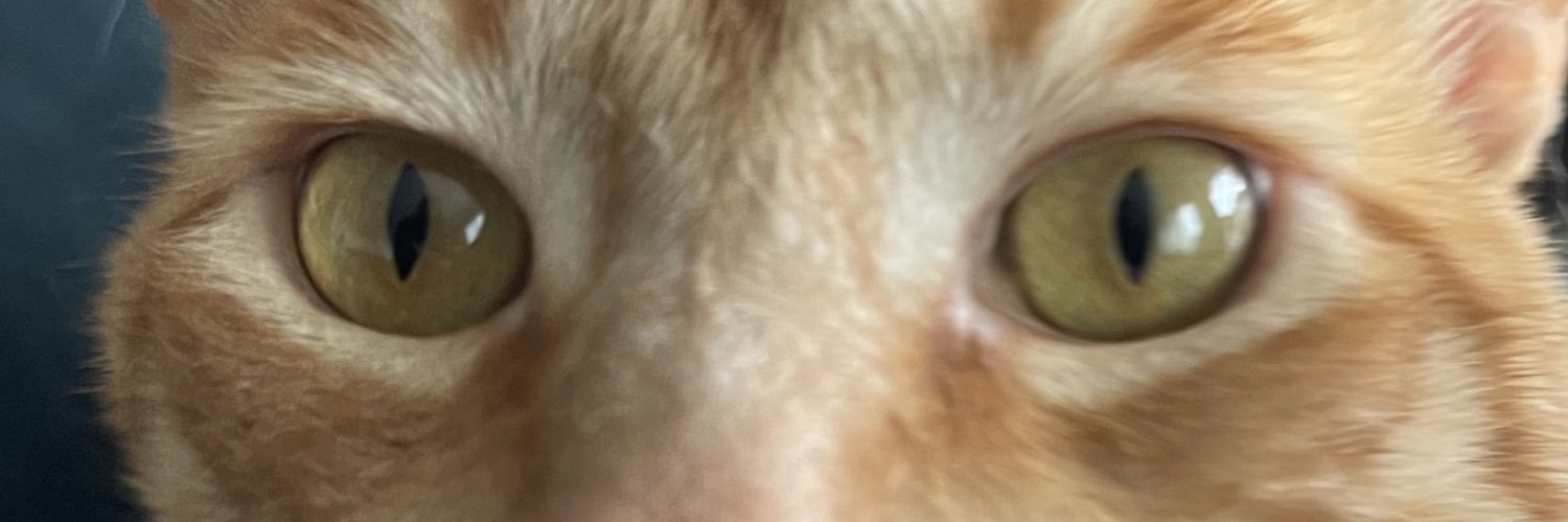 bickssssss's profile banner image