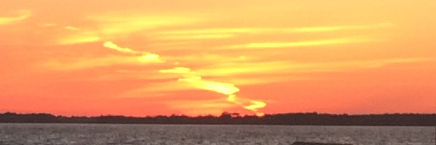 estrellaboop's profile banner image