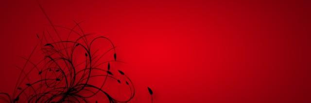 dodlasri's profile banner image