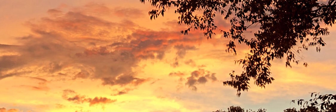 TrueeMeg's profile banner image