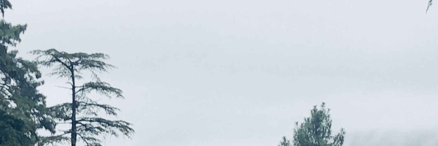 achinaren's profile banner image