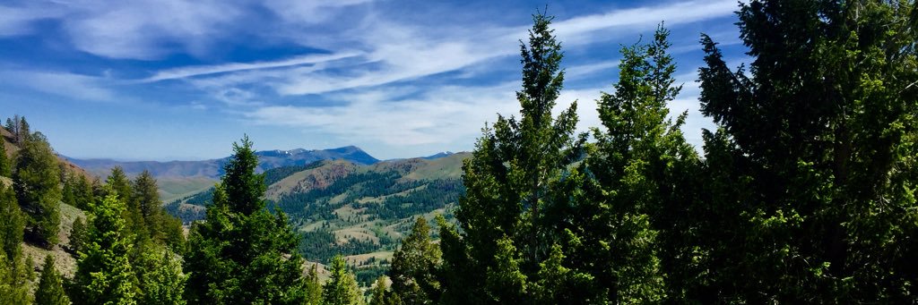 Glenneda Zuiderveld banner