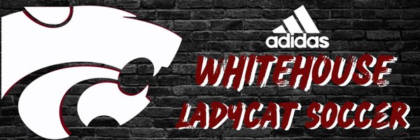 WHSTX_LCSOCCER Profile Banner
