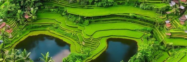 trypayload Profile Banner